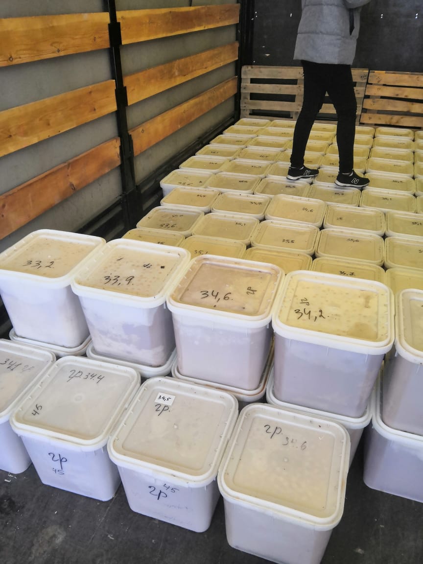 Мед из Барнаула в Оренбург